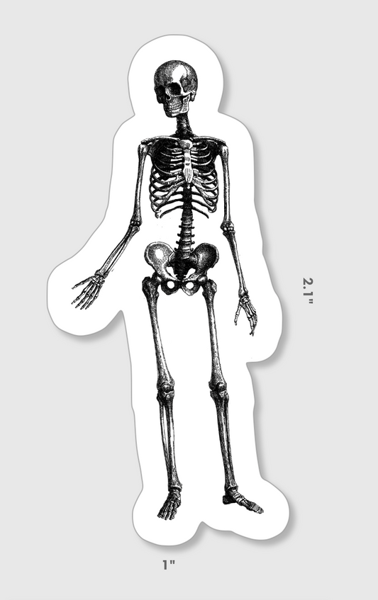 Skeleton Sticker